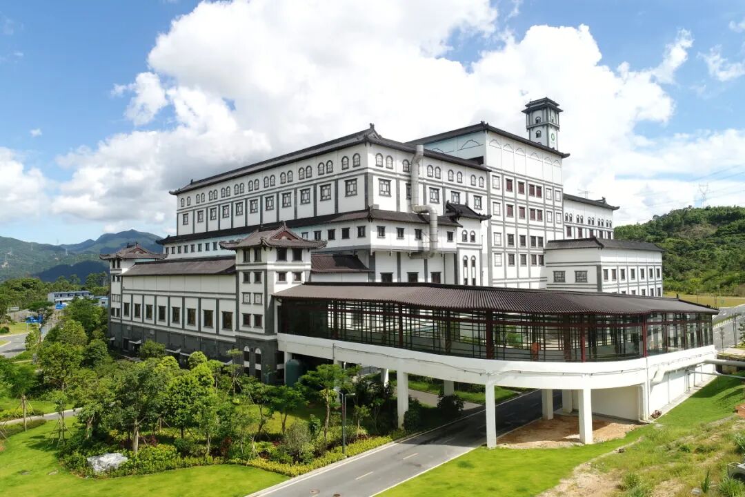 稳中求进，笃行致远，BG大游集团颁布2025年上半年成就单